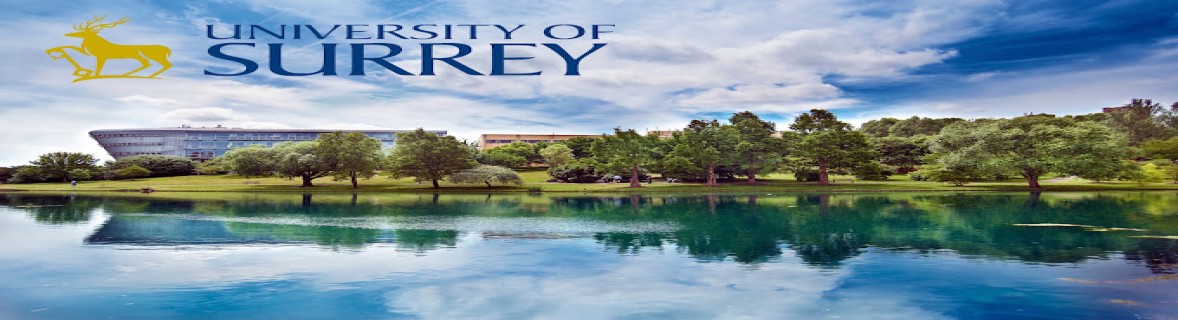 university of surrey tourism